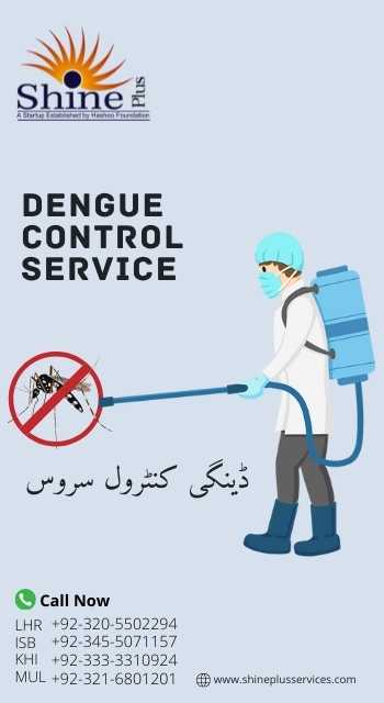 Dengue Fumigation Service